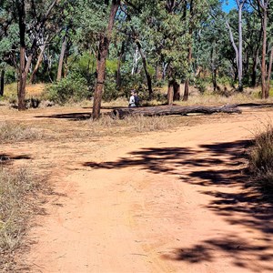 Cann Creek Camp 