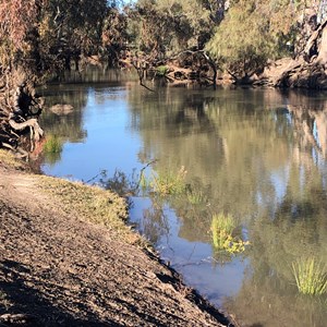 Lachlan River @ Hillston