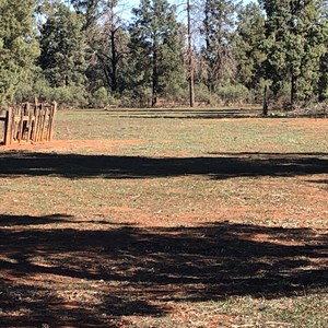 Old grave site