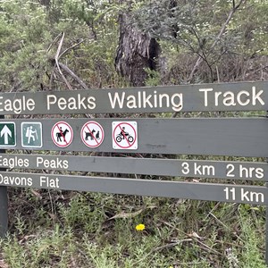 Turn Left/Straight - Bluff Link Rd