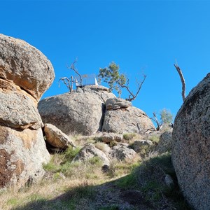 Morgan's Lookout