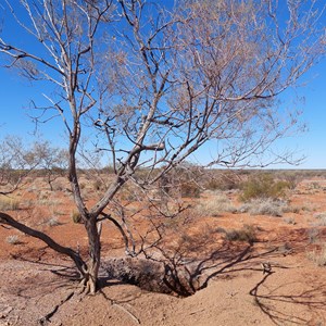 Wahlgu Rockholes