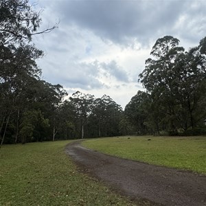 Poplar Flat Camping Area