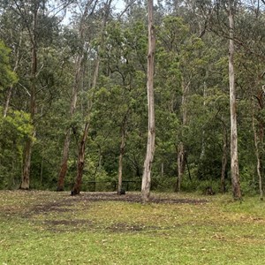 Poplar Flat Camping Area