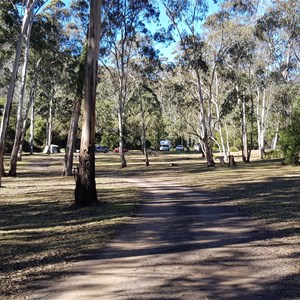 Manna Gum Camping Area