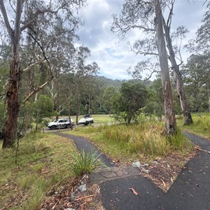 Manna Gum Camping Area