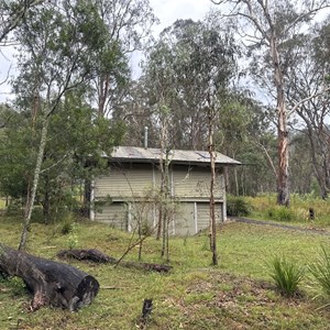 Manna Gum Camping Area