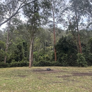 Manna Gum Camping Area