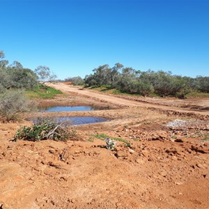 Causeway looking south (July)