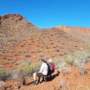 Saddle Trail