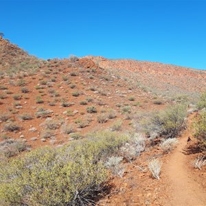 The Saddle Trail at the lookout