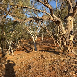 Fords Creek