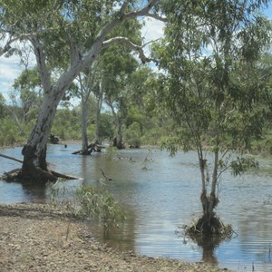 Kalgan Creek