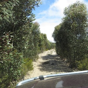 Narrow and scratchy Telegraph Track