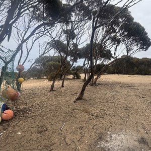 Bilbunya Dunes  View  Campsite