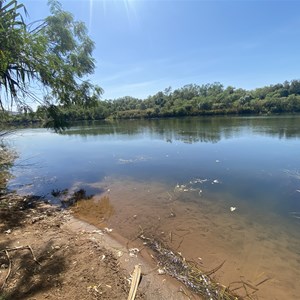 Flying fox camp