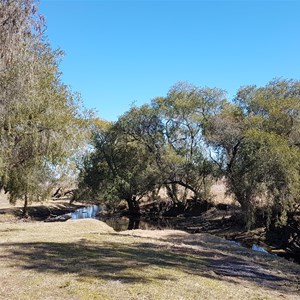 MacLeay River Camp