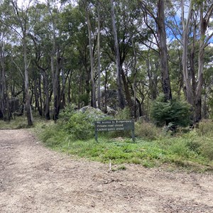 Forbes Creek Rd, Talagan NP Boundary