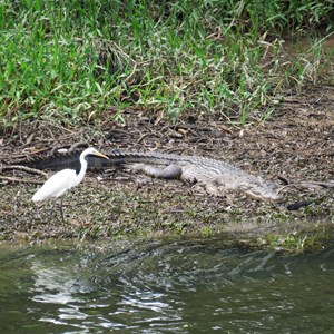 A few km downstream