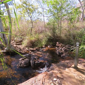 A creek hop