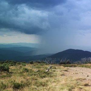 Mt pinnibar