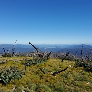 Spectacular views - April 2021