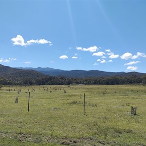 Tom Groggin Campground - Alpine Way - Tom Groggin