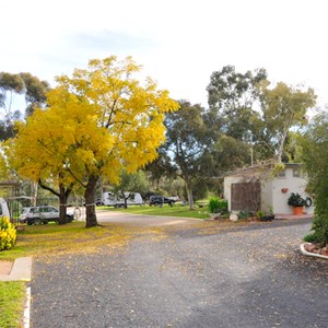 Peak Hill Caravan park