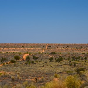 QAA Line - Simpson Desert