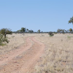 QAA Line & Annandale Ruins Access