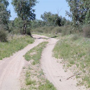 QAA Line & Annandale Ruins Access