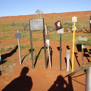 Madigan's Camp 16 Blaze Tree