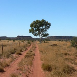 Track to Goyders Pillar and Mt Tietkins (in background)