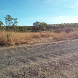 Three Large Boabs