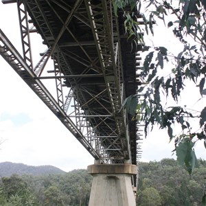 High and mighty MacKillops