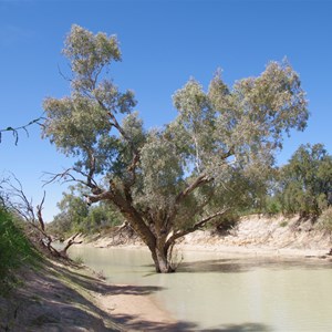 Eyre Creek, QAA Line