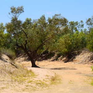 Eyre Creek (Dry)