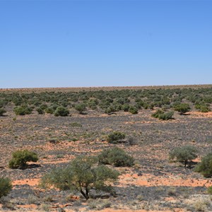 Lookout Rig rd