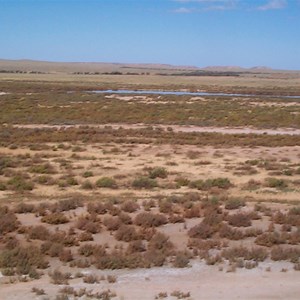 Spring Creek Delta Lookout 2001