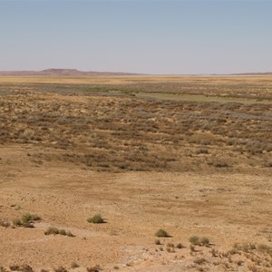 Desert landscape