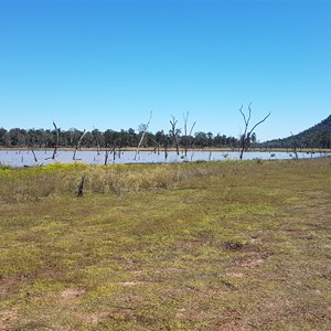 Lake Nuga Nuga Campground