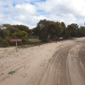 Pigeon Spring - Milmed Track