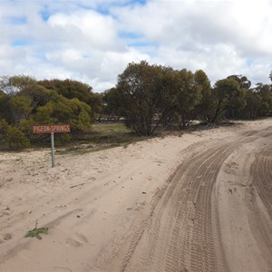 Pigeon Spring - Milmed Track