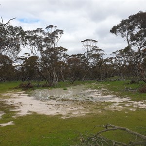 WAter catchment at Milmed swamp