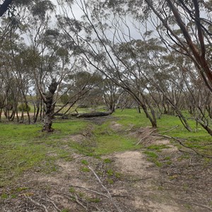 Old water catchment at Milmed Swamp