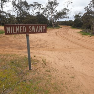 Milmed Swamp