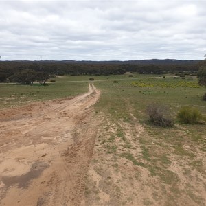 Looking down across the flat towards Arnold Spring