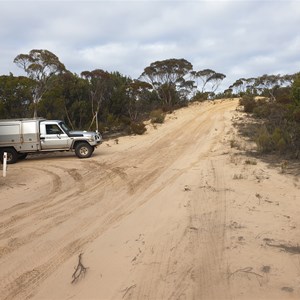   Track leading into campsite area - marked with white reflective road marker (the only one on the track)