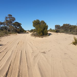 Milmed Track and Hermie Strausses Garden Track Intersection