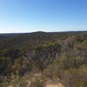 View north east from the top of the Milmed track lookout dune.